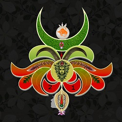 Ravi Insurance Service